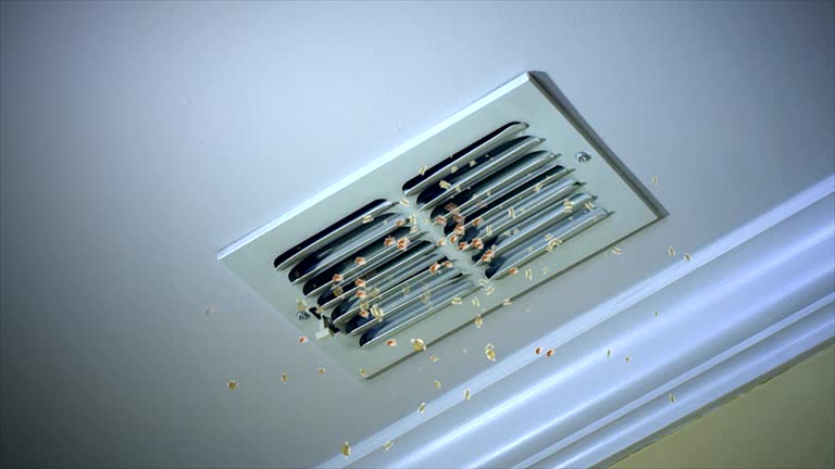 Best Duct Cleaning for Offices  in White Cloud, MI