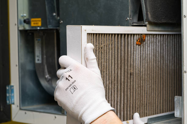 Best Ductwork Cleaning Services  in White Cloud, MI