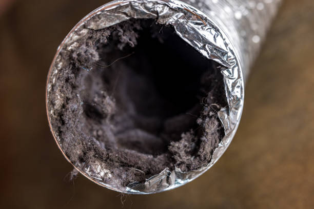 Best HVAC Duct Inspection Services  in White Cloud, MI