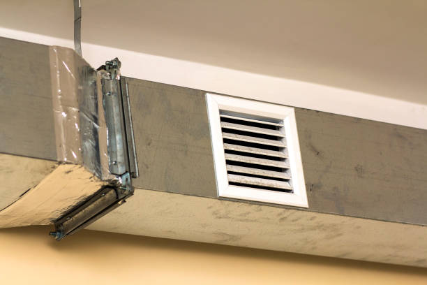 Best Affordable Duct Cleaning Services  in White Cloud, MI